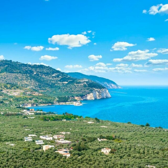 Vista panoramica del litorale del Gargano, con colline verdi, mare azzurro e cielo limpido.